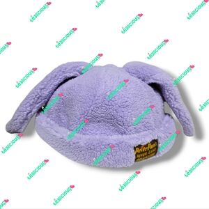 TOKYO DISNEY PETER PAN LOST BOYS NIBS RABBIT SHEPRA BEANIE HAT